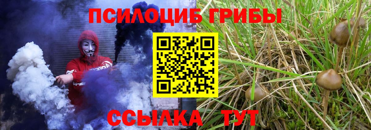 Псилоцибиновые грибы Cubensis Карпинск